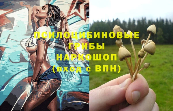 индика Пестово