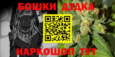 бошки Бийск