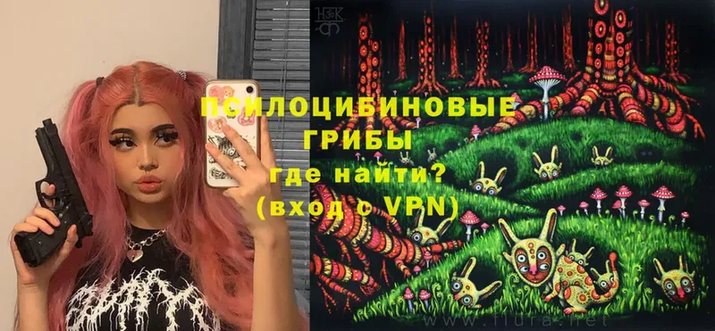 Галлюциногенные грибы Psilocybe  МЕГА ТОР  Торжок  хочу  