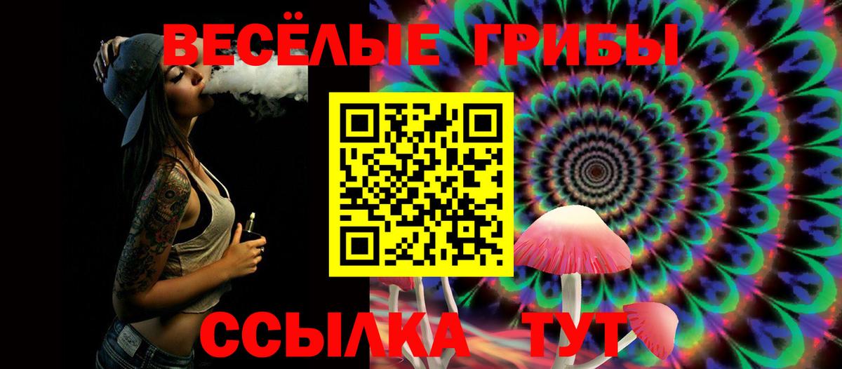 Галлюциногенные грибы Psilocybine cubensis  купить наркотик  Торжок  Вход с VPN 